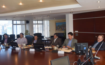 Sector forestal exporta USD 308 millones y enfrenta una agenda comercial poco estratégica