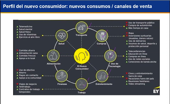 Webinar: Oportunidades de negocios y nuevos ingresos en época de Covid-19