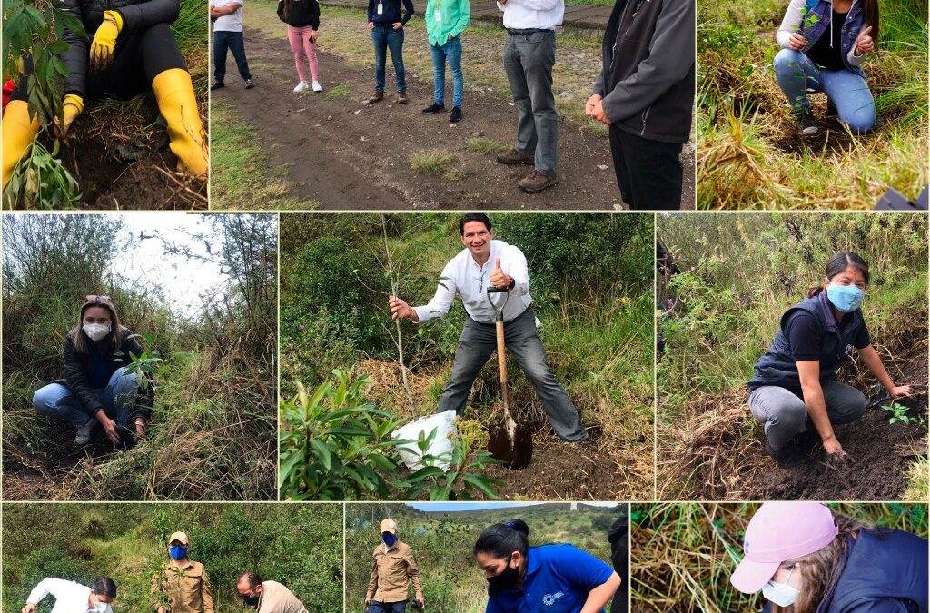 El primer CIP Reforesta fue un éxito